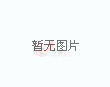2026美加墨世界杯替补球员出场人次统计